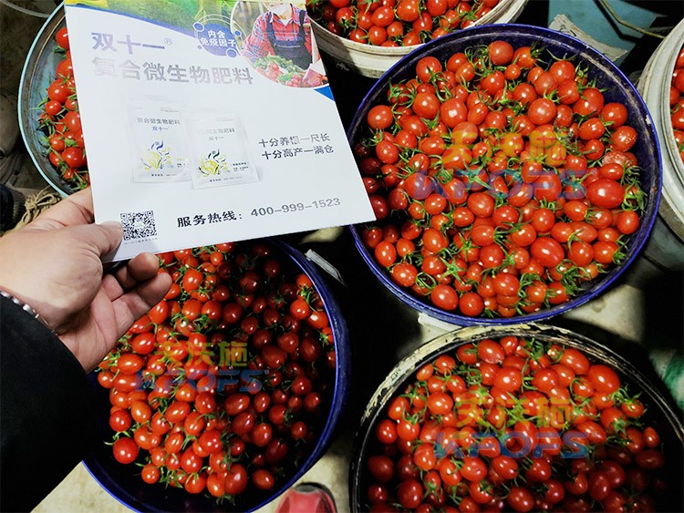 夫沃施進(jìn)口肥怎么樣？