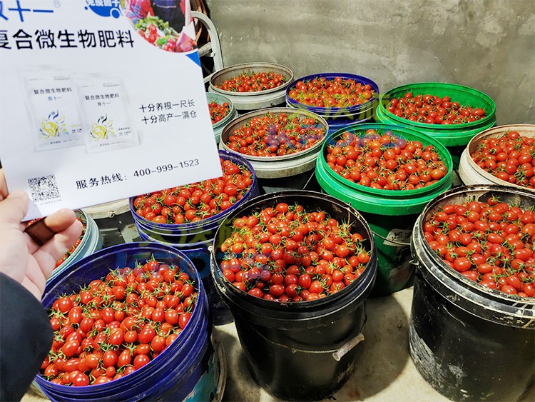 夫沃施進(jìn)口肥怎么樣？