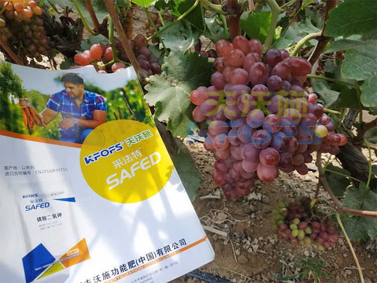 磷酸二氫鉀為什么都說(shuō)粉劑的好？