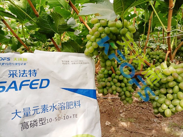 水溶肥價(jià)格高，可是用的人卻很多！