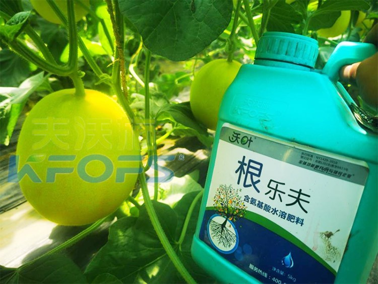 甜瓜用哪個水溶肥廠家的產(chǎn)品好？