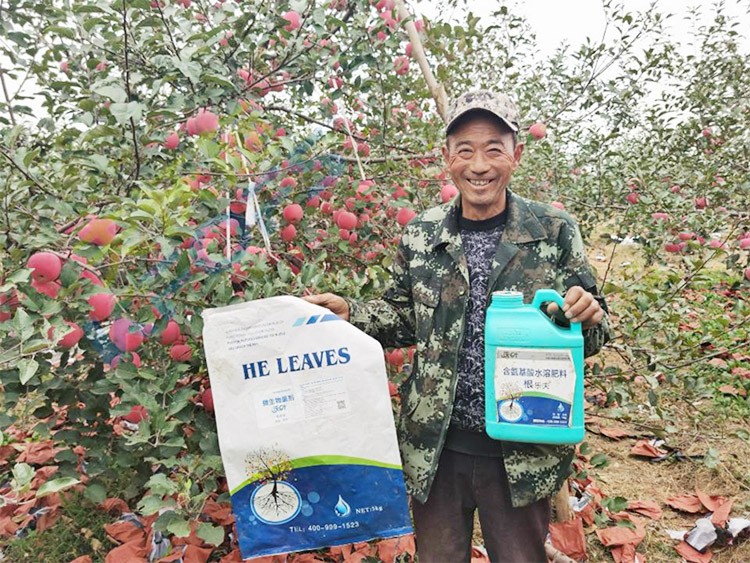蘋果樹用什么生根肥好？看看這款！