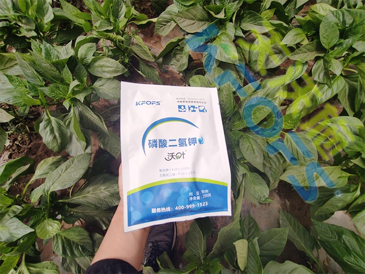 磷酸二氫鉀廠家，這家不要錯過！