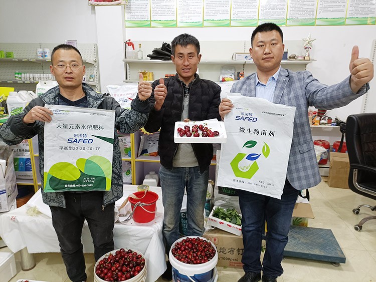 水溶肥哪家好？看完這篇不疑惑！
