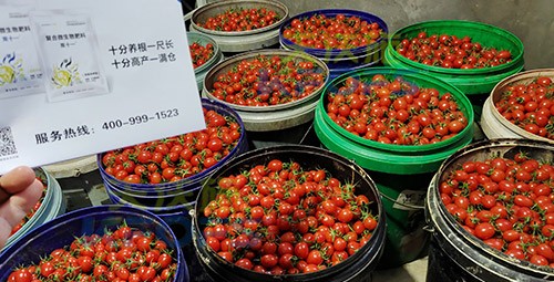 夫沃施進(jìn)口肥怎么樣？
