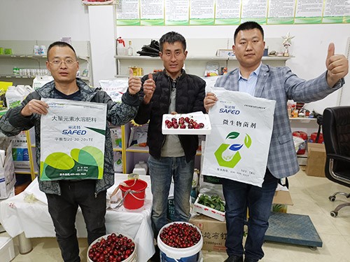水溶肥哪家好？看完這篇不疑惑！