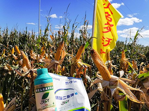 玉米葉面肥哪個(gè)品牌好？