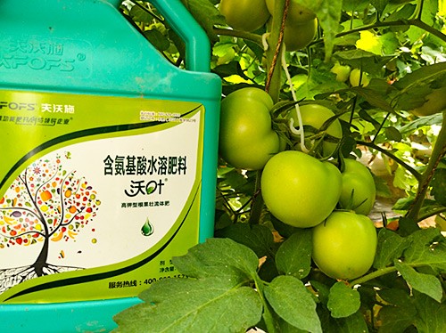 蔬菜沖施肥哪個品牌好？經(jīng)驗實談