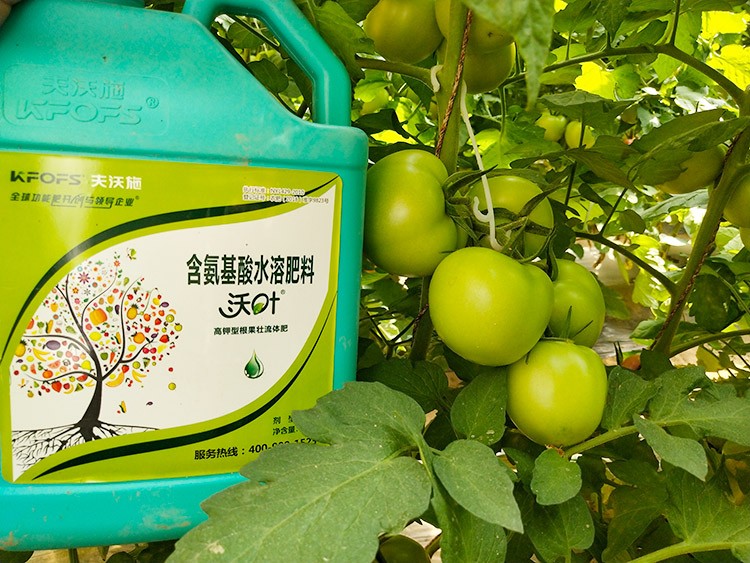 蔬菜沖施肥哪個品牌好？經(jīng)驗實談
