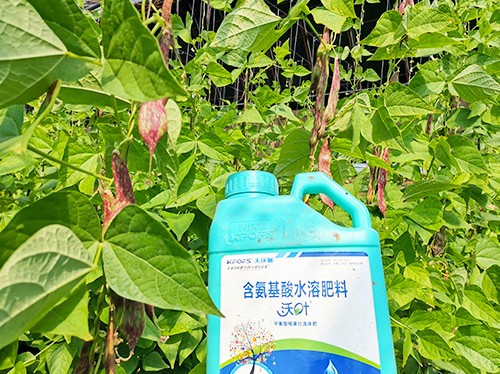 進(jìn)口水溶肥，懂行的人都這么選！
