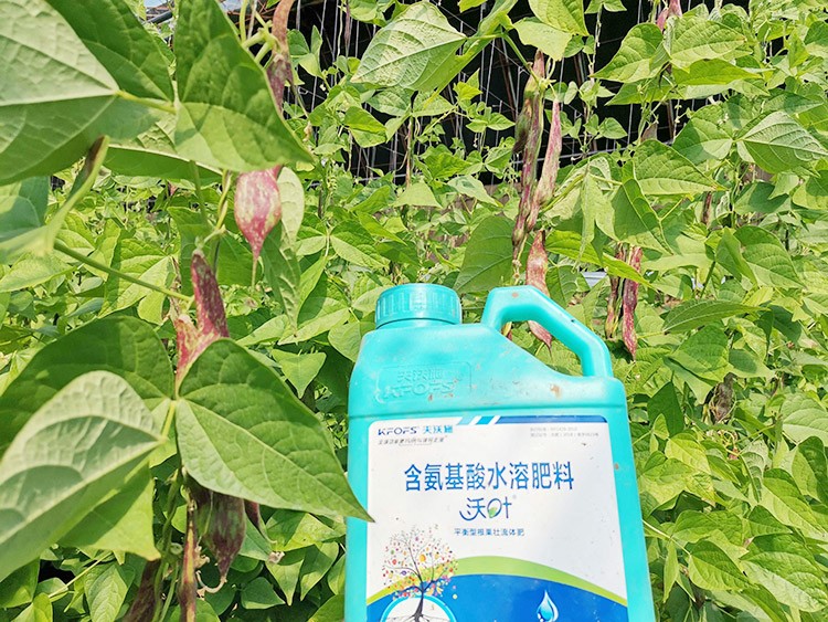進(jìn)口水溶肥，懂行的人都這么選！