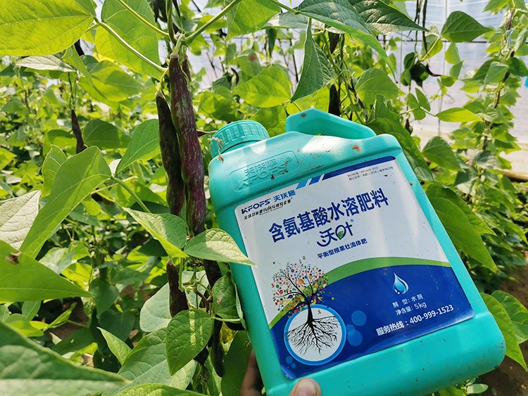 進(jìn)口水溶肥，懂行的人都這么選！