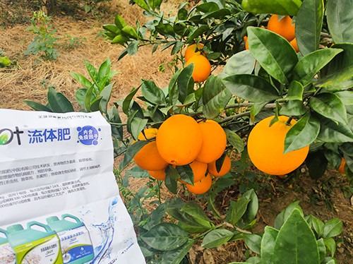好的水溶肥是什么生產(chǎn)工藝？