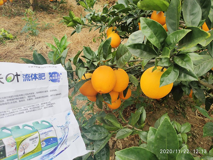 好的水溶肥是什么生產(chǎn)工藝？