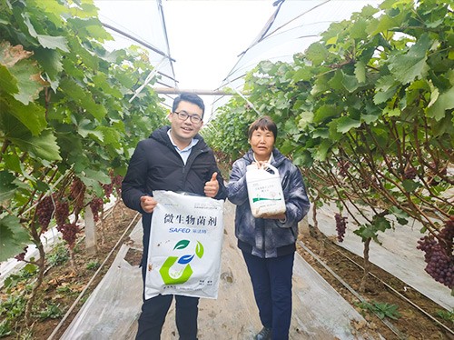 水溶肥廠家夫沃施都說好？好在哪？