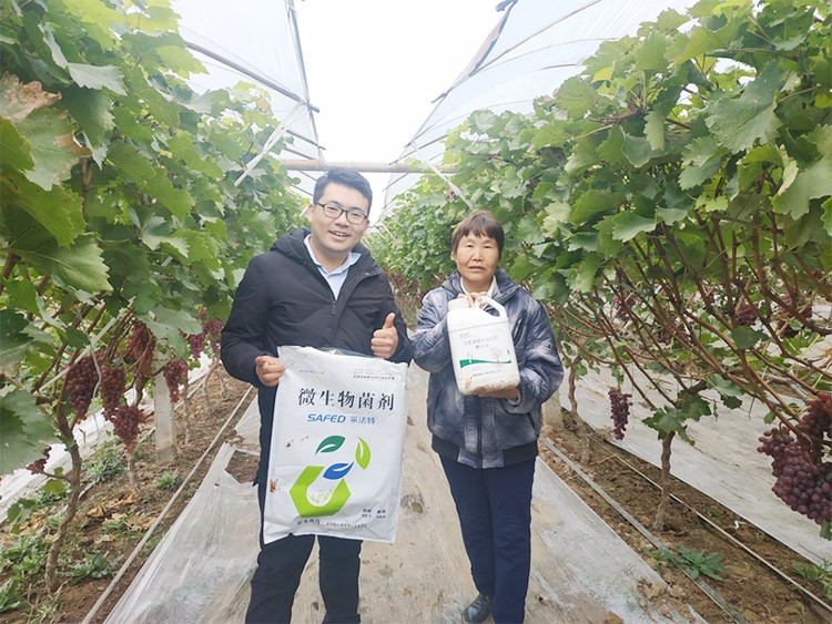 水溶肥廠家夫沃施都說好？好在哪？