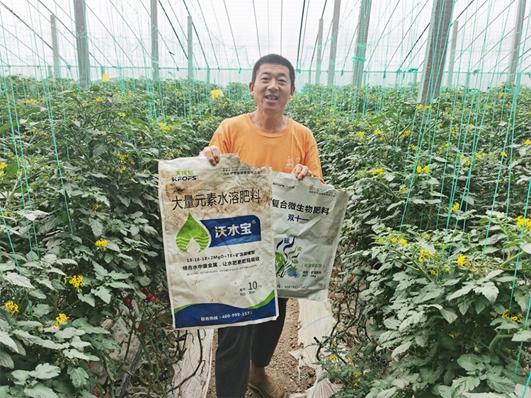 水溶肥廠家夫沃施都說好？好在哪？