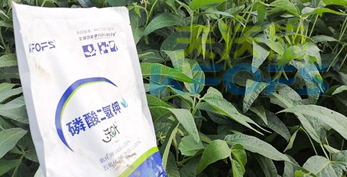 進口磷酸二氫鉀不得不了解的一個品牌！