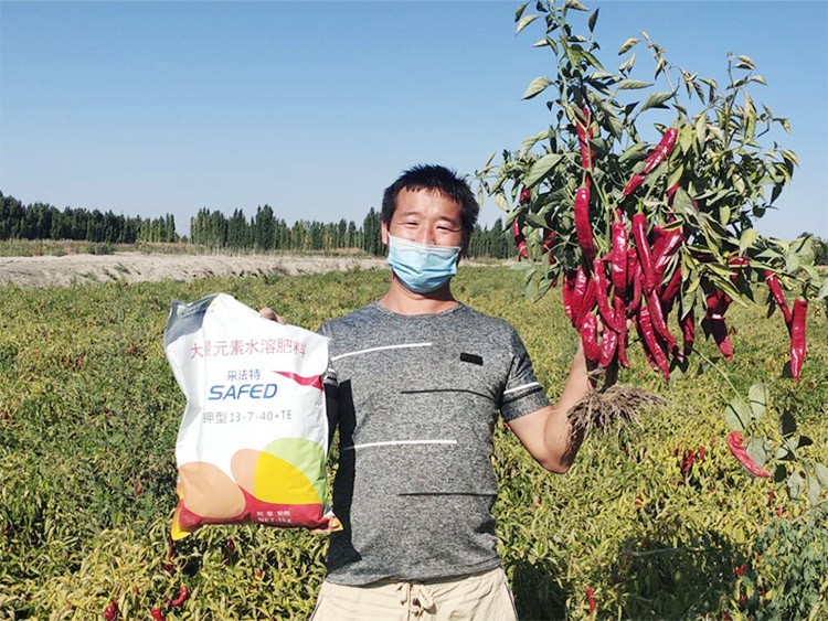 肥料廠家，有經(jīng)驗(yàn)的農(nóng)資人這樣選！