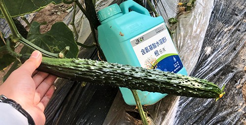 生根劑要安全不傷根，就選這個(gè)牌子！