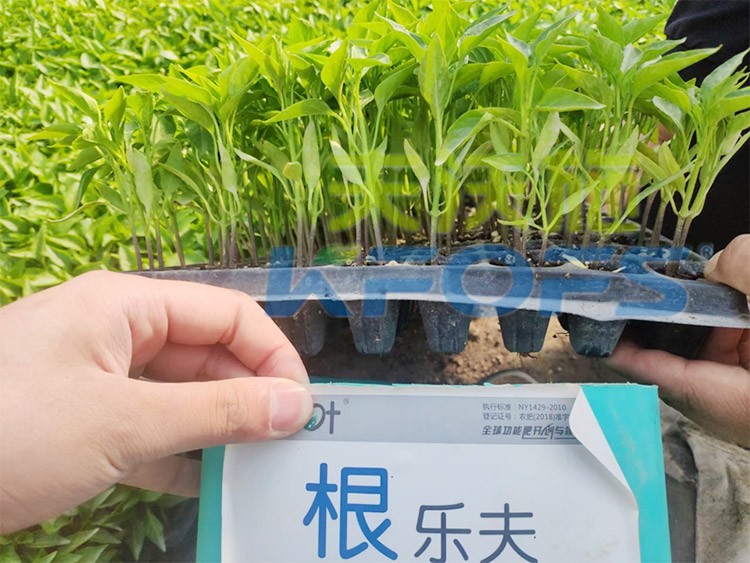 生根劑要安全不傷根，就選這個(gè)牌子！