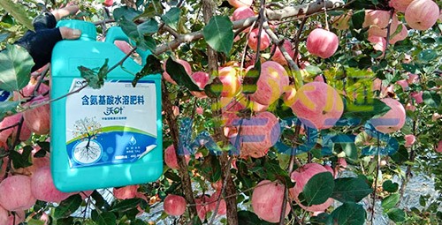 沖施肥怎么去沖施？什么牌子的好？
