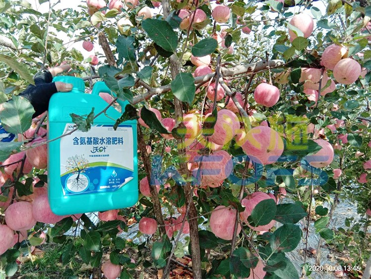 沖施肥怎么去沖施？什么牌子的好？