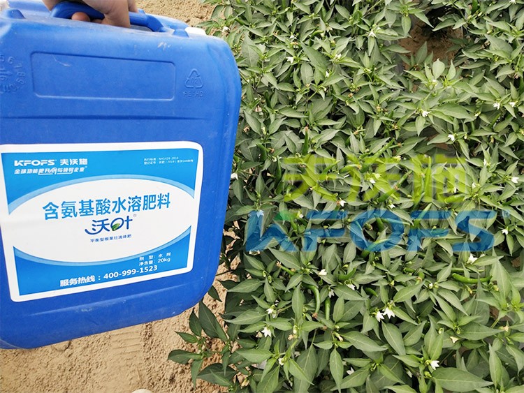 沖施肥怎么去沖施？什么牌子的好？