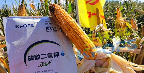 進口磷酸二氫鉀哪個品牌好？
