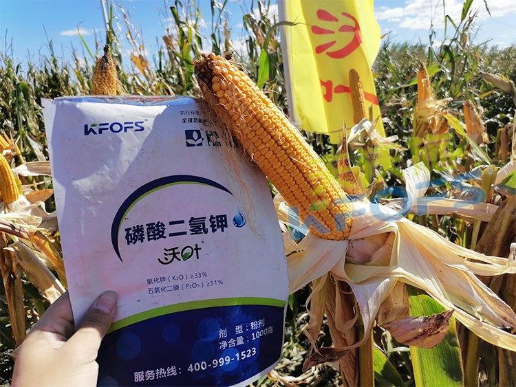 進口磷酸二氫鉀哪個品牌好？