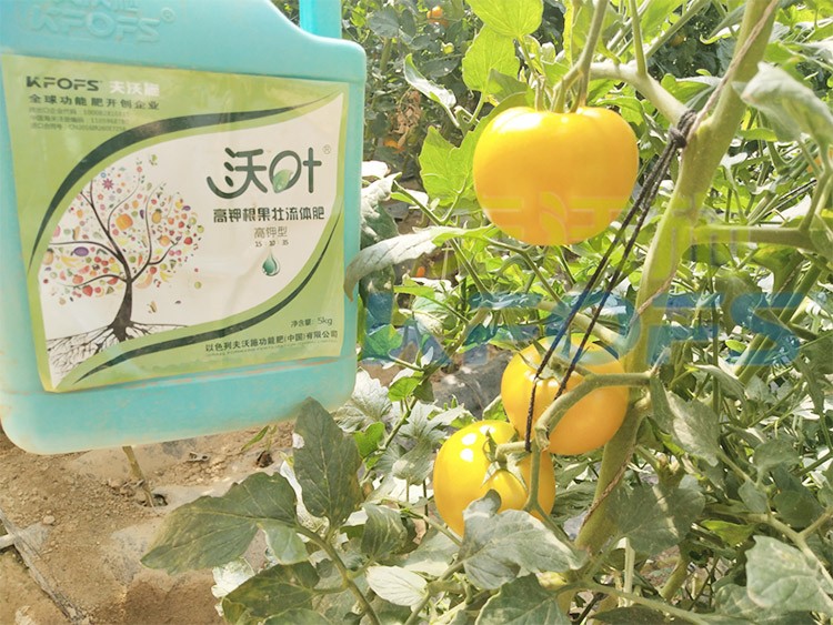 水溶肥的作用，不得不說太強(qiáng)大了！