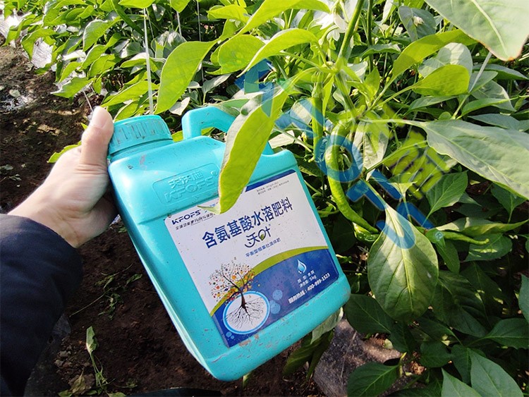 水溶肥的作用，不得不說太強(qiáng)大了！