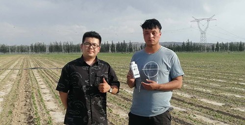 藥害還能恢復(fù)生長嗎？這篇告訴你！