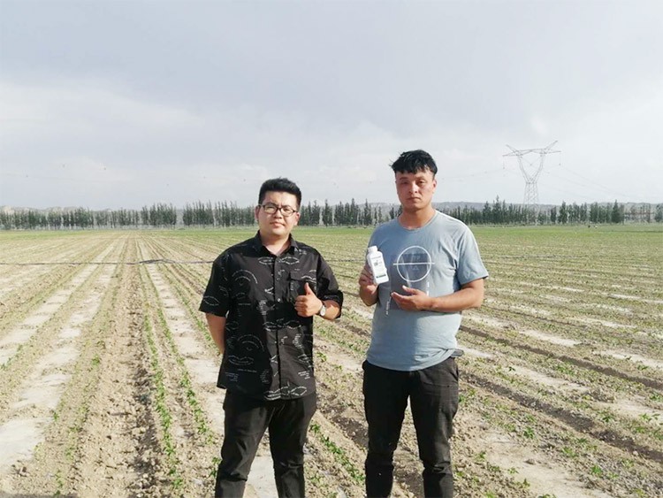 藥害還能恢復(fù)生長嗎？這篇告訴你！