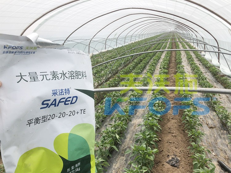 大量元素水溶肥為什么都說進口的好？