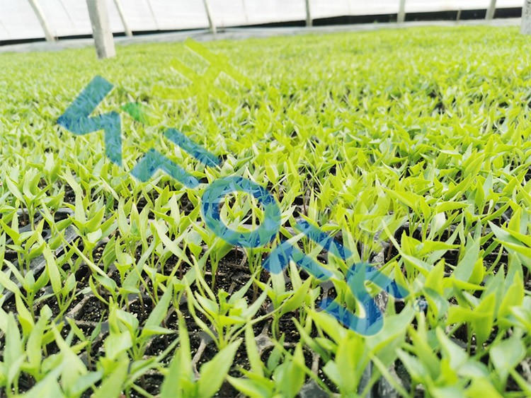 微生物菌劑廠家哪家好？