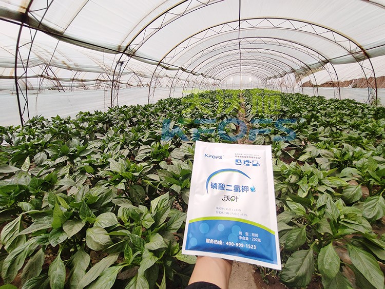 磷酸二氫鉀的正規(guī)廠家是什么樣的？