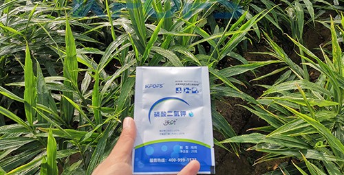 磷酸二氫鉀選這個品牌，不會錯！