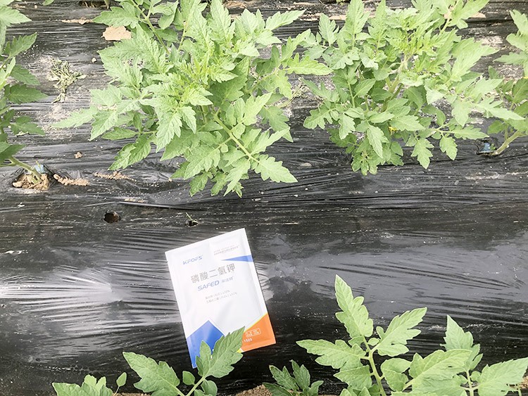 什么牌子的磷酸二氫鉀好？這個(gè)答案不要錯(cuò)過！