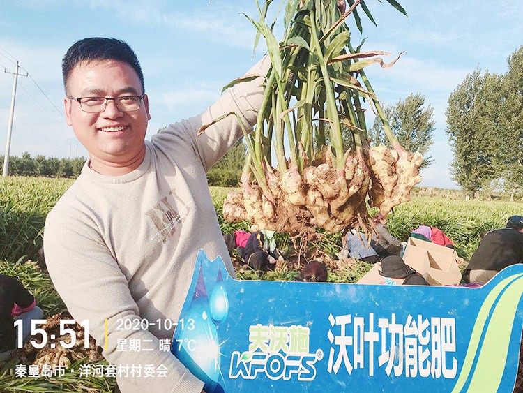 進(jìn)口水溶肥推薦你選沃葉，這就是原因！