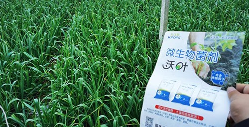 微生物菌劑選它，放心又舒心！