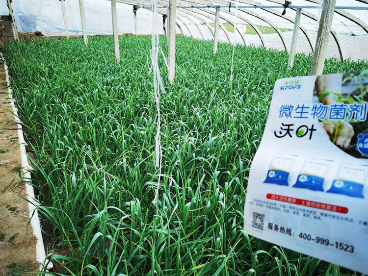 微生物菌劑選它，放心又舒心！