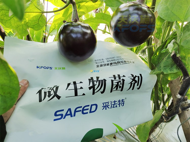 進口水溶肥蔬菜上怎么用效果好？