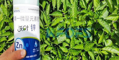 鋅肥是什么肥料？辣椒用有什么好處？