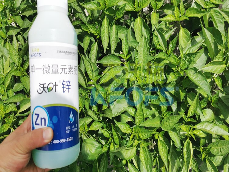 鋅肥是什么肥料？辣椒用有什么好處？