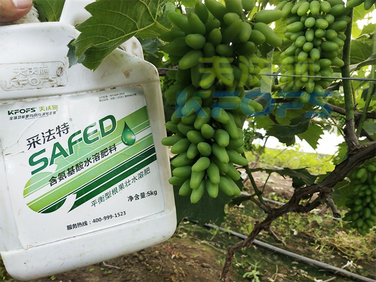 葡萄水溶肥品牌哪個好？案例告訴你！