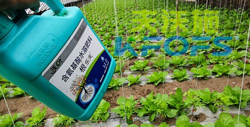 蔬菜用進(jìn)口水溶肥，有什么突出效果？