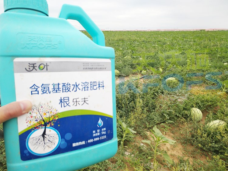 西瓜用什么進(jìn)口水溶肥好？