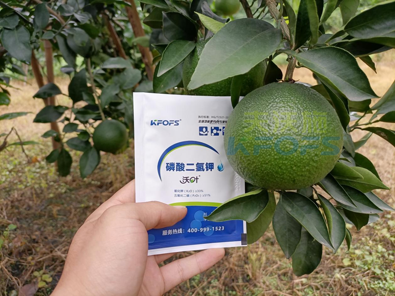 磷酸二氫鉀在果樹上使用有什么好處？