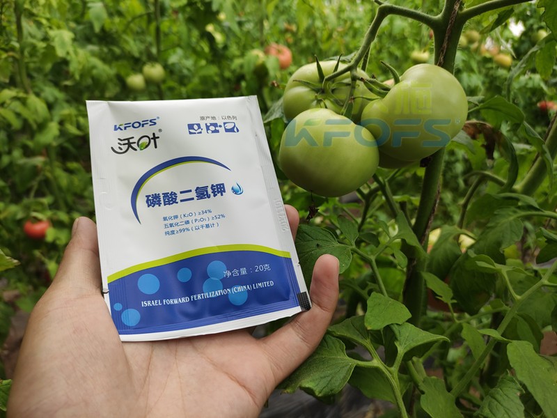 葉面肥磷酸二氫鉀，竟然這么好用！